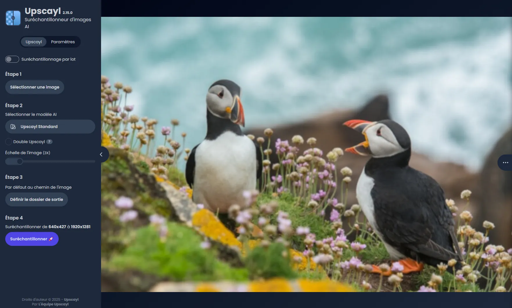 Choisissez l'échelle de l'image