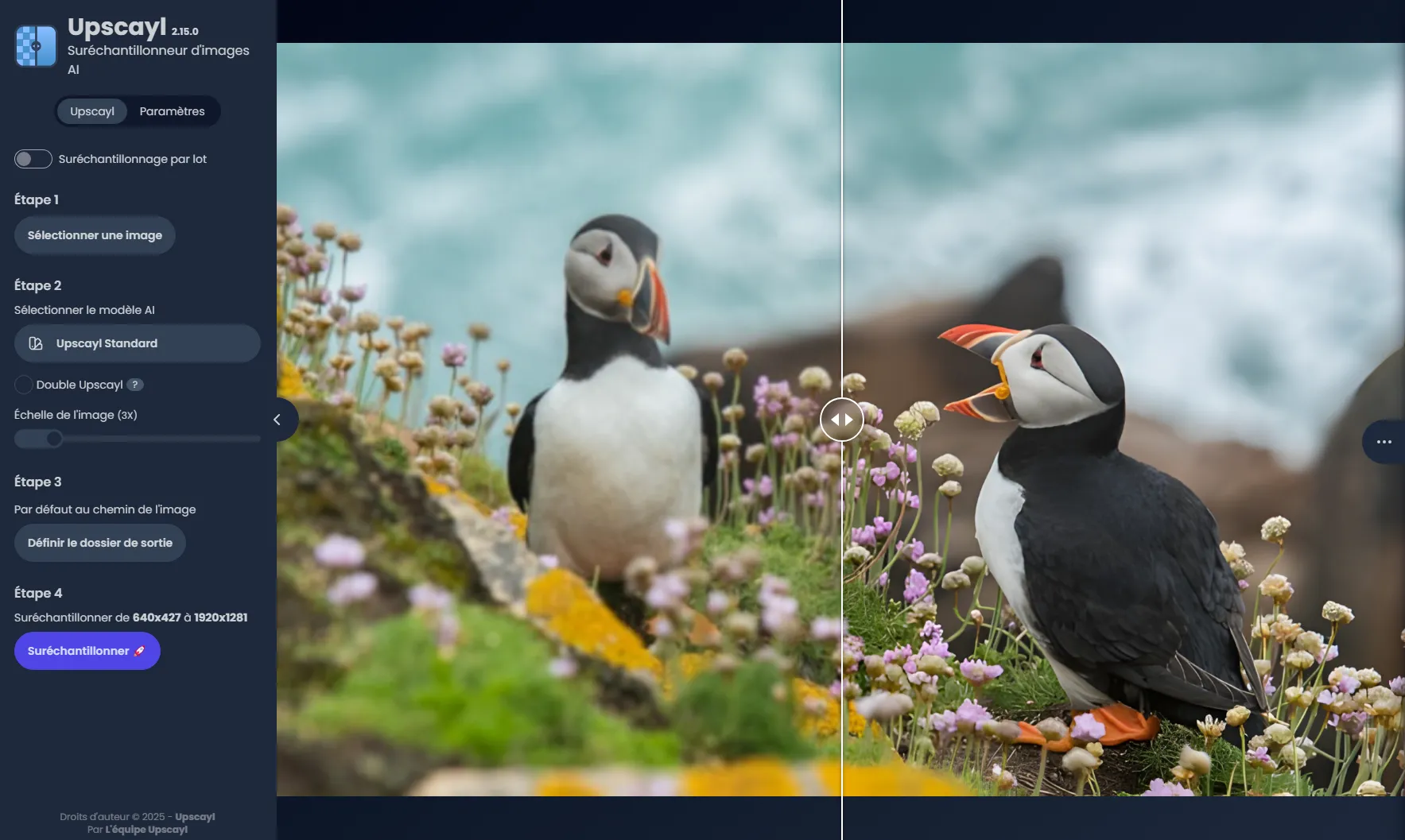 Résultat de l'agrandissement