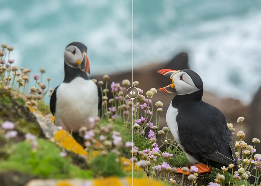 img of Comment améliorer une image avec l'IA gratuitement ?