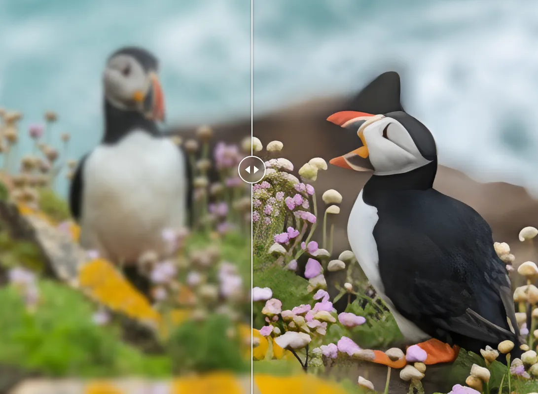 Agrandissement trop important